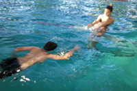 Beneficiile inotului